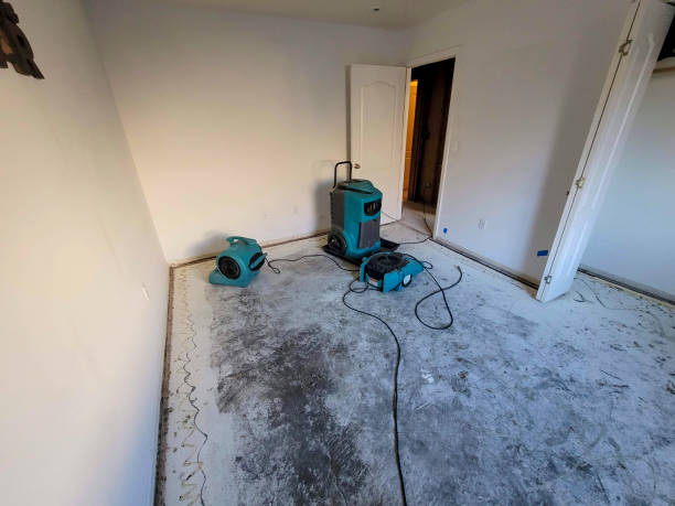 Best Flood restoration services  in Fort Shawnee, OH