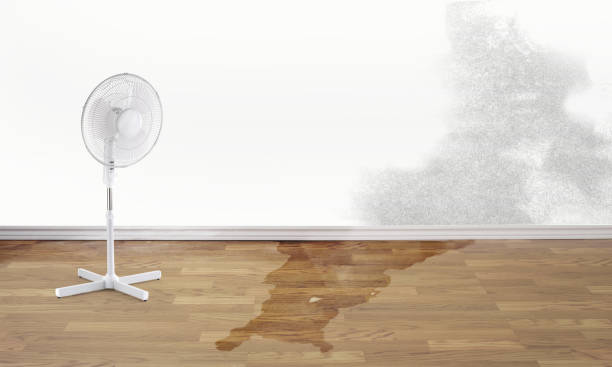 Best Sewage cleanup and water damage restoration  in Fort Shawnee, OH