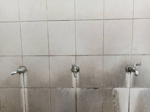 Best Local water damage restoration  in Fort Shawnee, OH